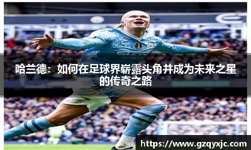 OD体育手机下载