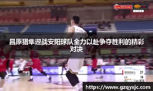 昌原猎隼迎战安阳球队全力以赴争夺胜利的精彩对决